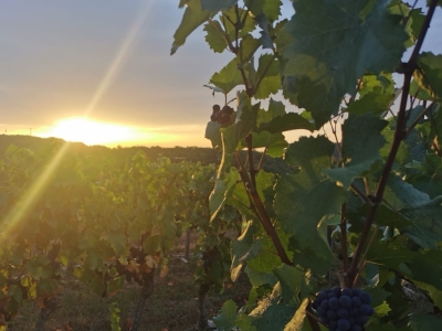 Fermeture estivale du domaine